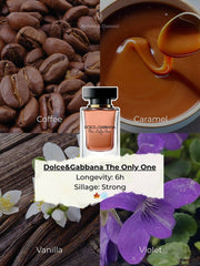 The Only One by Dolce&Gabbana EDP for women