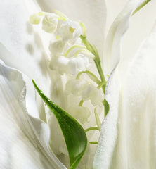 Dior Lucky Eau de Parfum (Unisex)