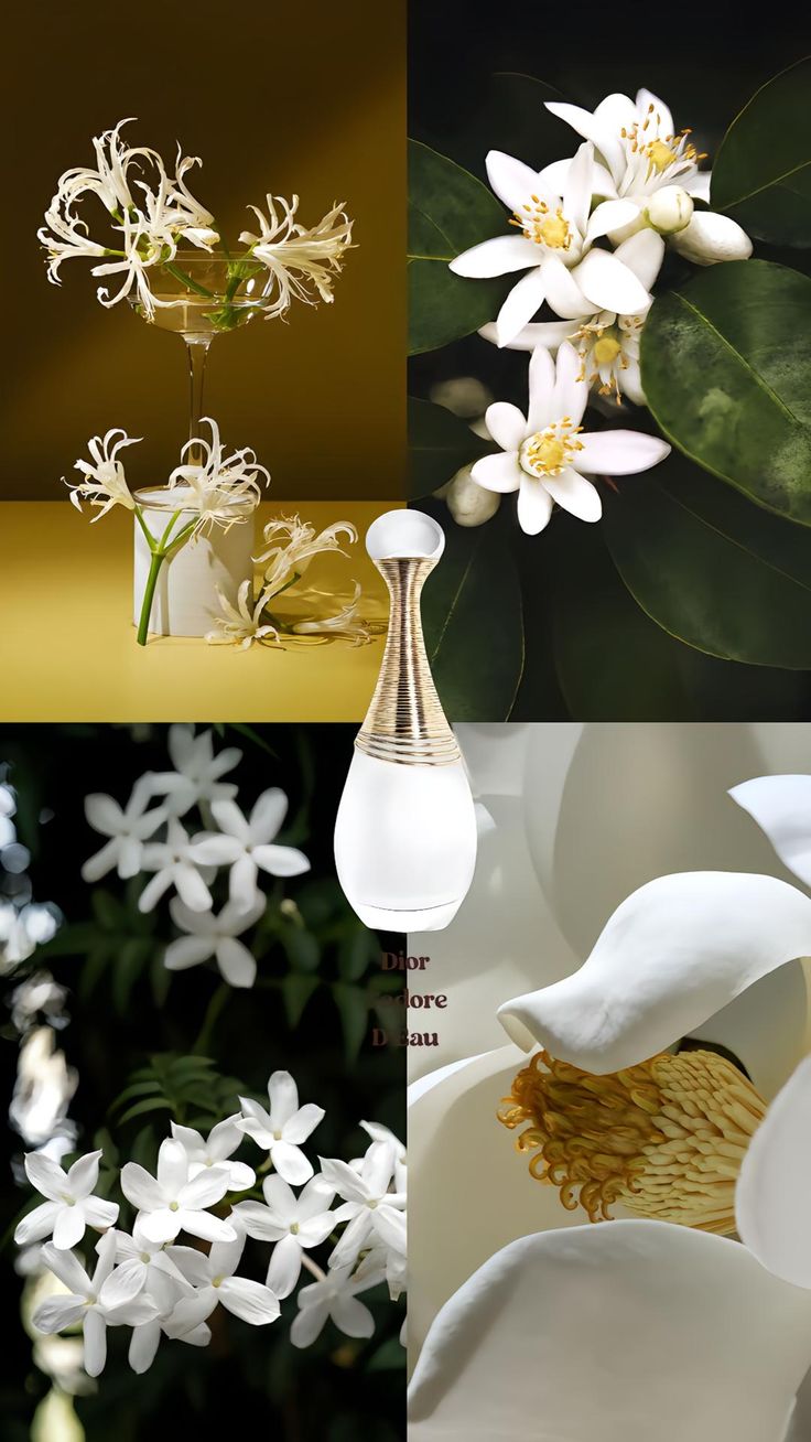 J'Adore Parfum D'Eau - Dior