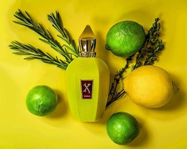 Xerjoff - Amabile EDP
