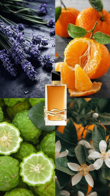 Libre Intense Yves By Yves Saint Laurent