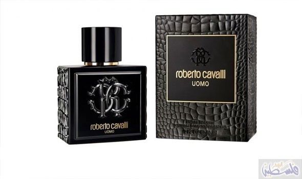 Roberto Cavalli Uomo by Roberto Cavalli