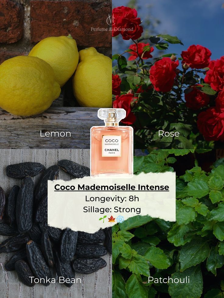 Coco Mademoiselle Intense By Chanel