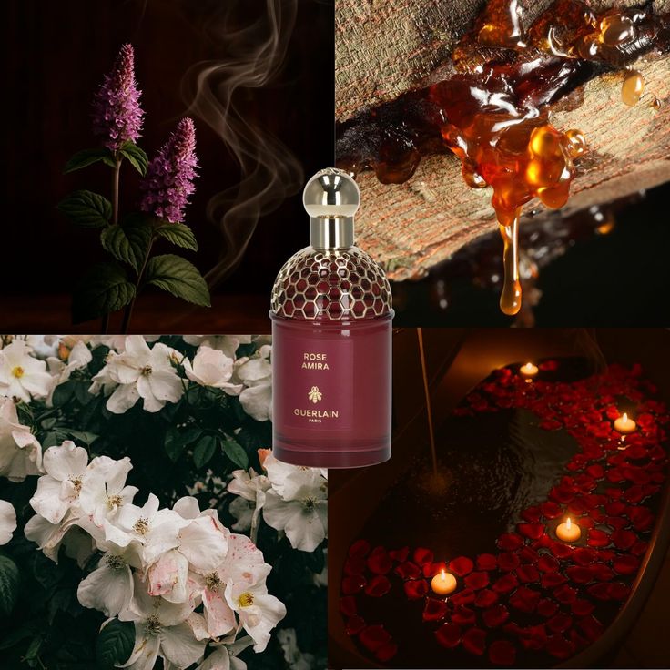 Guerlain Musc Noble EDP