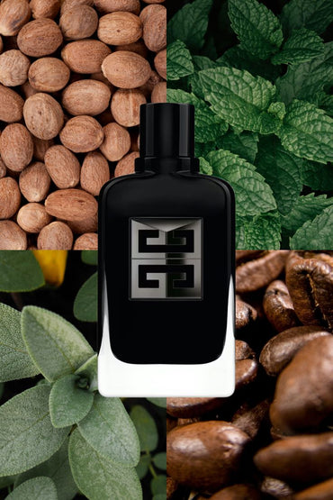 Gentleman Eau de Parfum Givenchy for men
