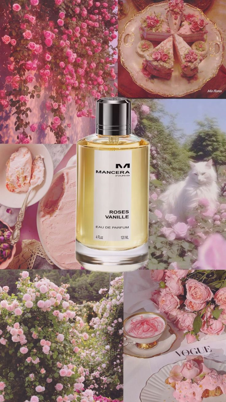 Roses Vanille By Mancera