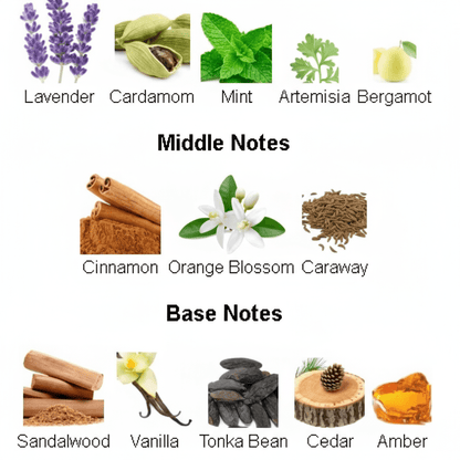 Jean Paul Gaultier - Le Male X-Mas Edition