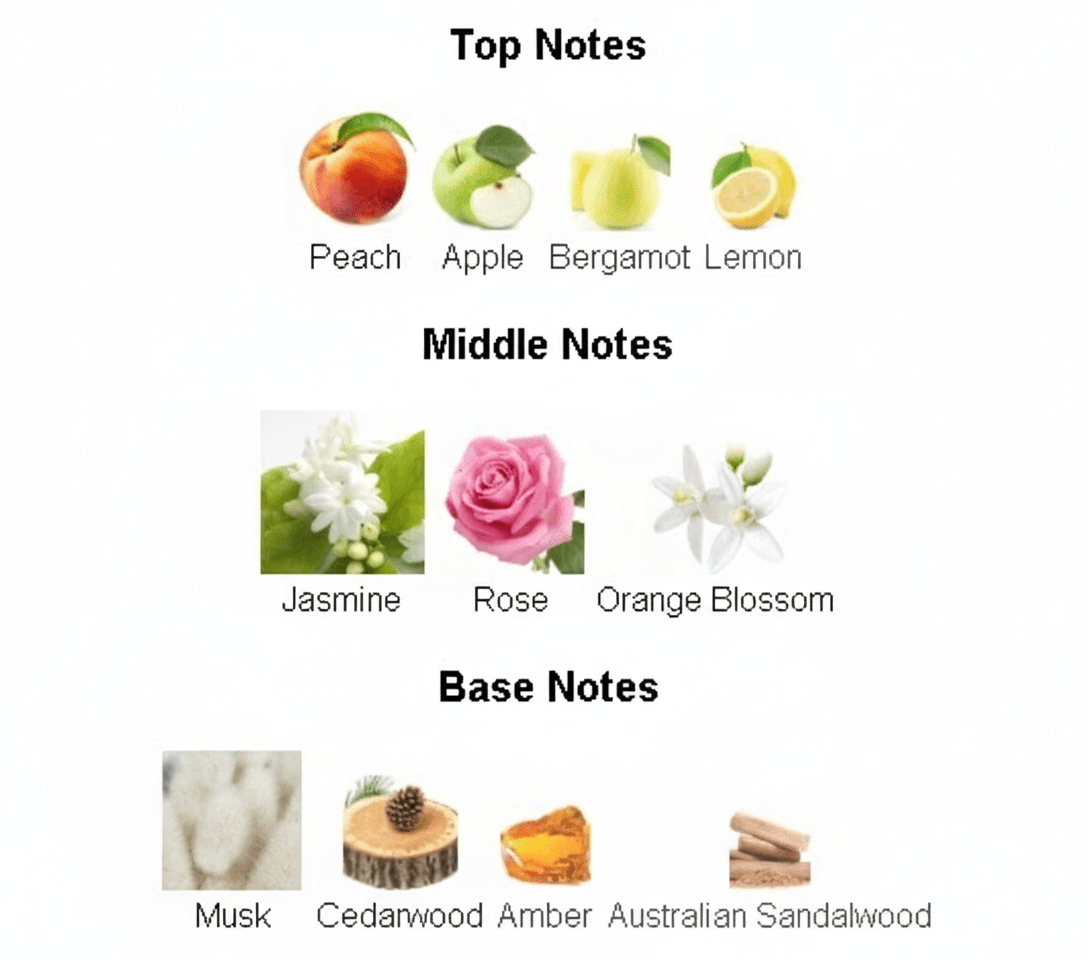 Dare 7:00 AM by Laverne