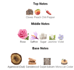 Black Intensitive Aoud Mancera