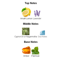 زافيرانو من أكوا دي بارما