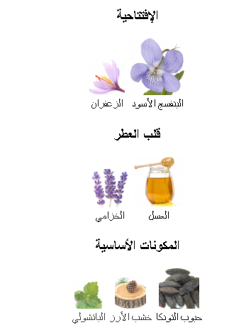 Roberto Cavalli Uomo by Roberto Cavalli