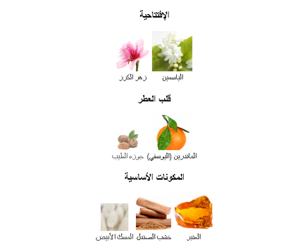 Night sapphre laverne