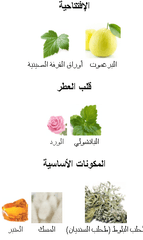 شاهين سيلفر