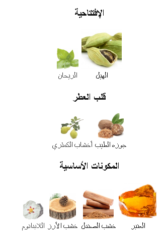 The One Royal Night Dolce&Gabbana