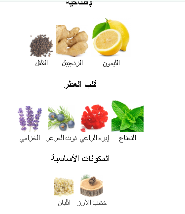 YVES SAINT LAURENT Y Eau Fraiche