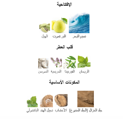 Ralph Lauren Polo Blue Eau de