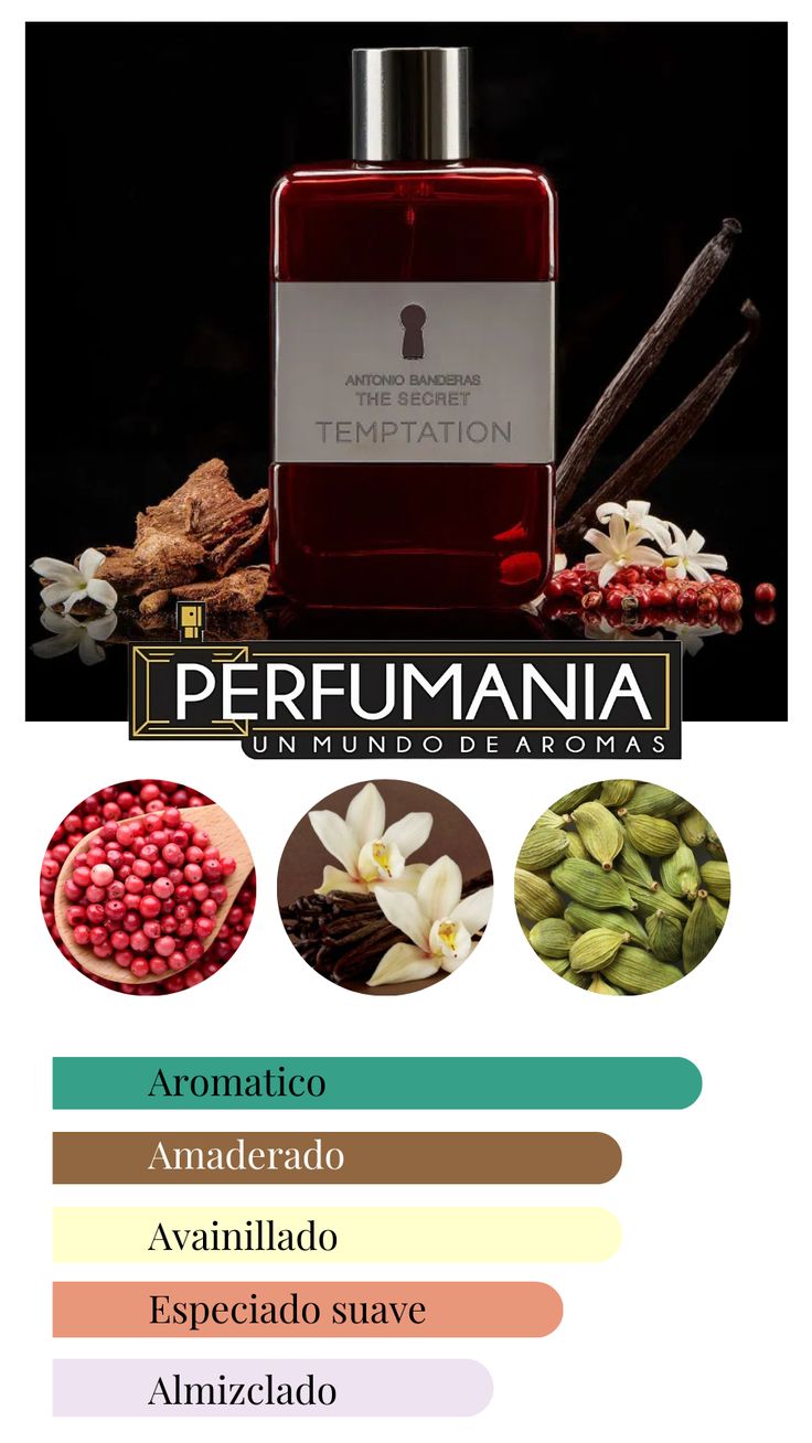 ANTONIO BANDERAS THE SECRET