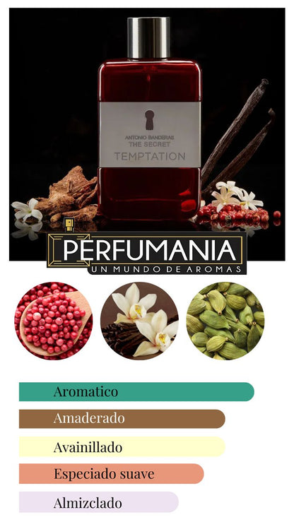 ANTONIO BANDERAS THE SECRET