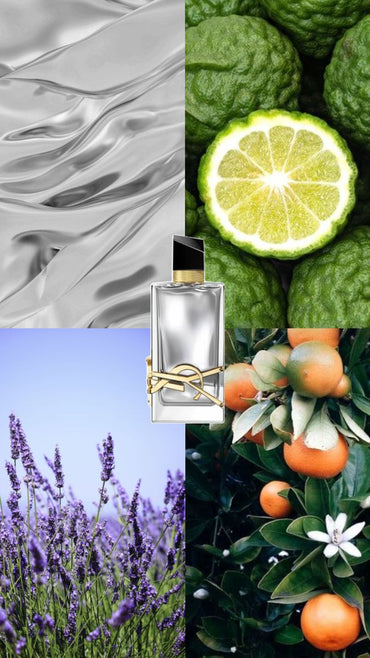 Libre L'Absolu Platine Yves Saint Laurent