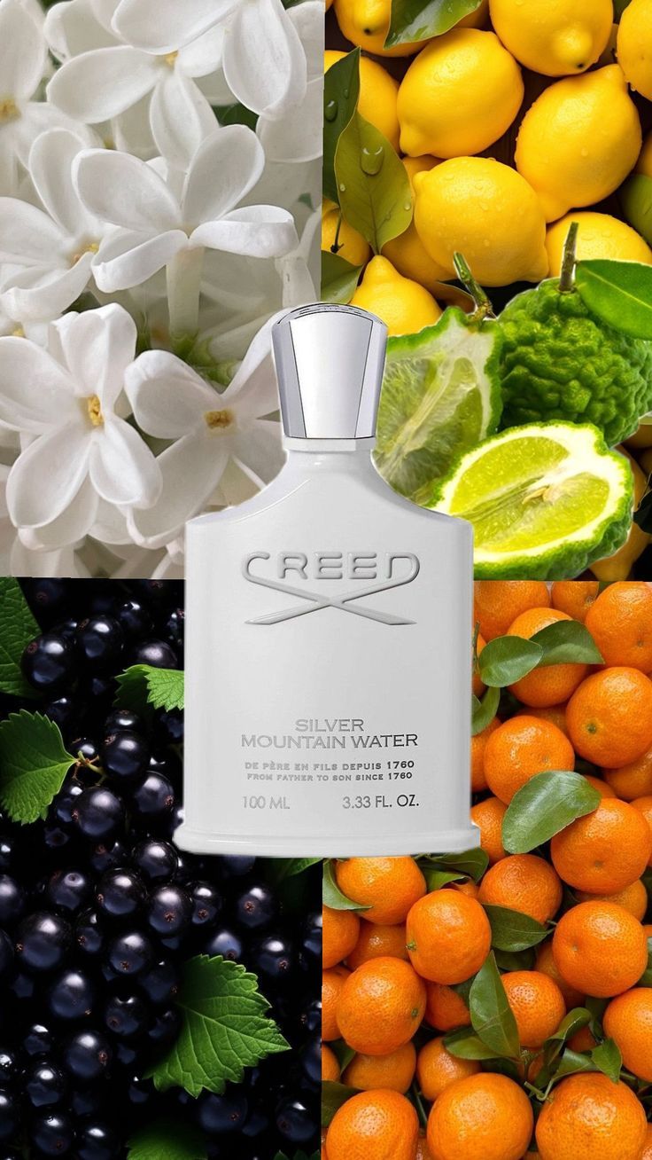 Silver Mountain Water by Creed – Unisex
